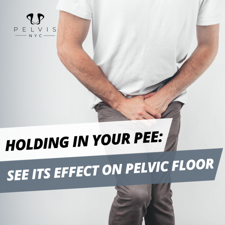 The Role Of Pelvic Floor Muscles In Sexual Health Pelvisnyc 6819