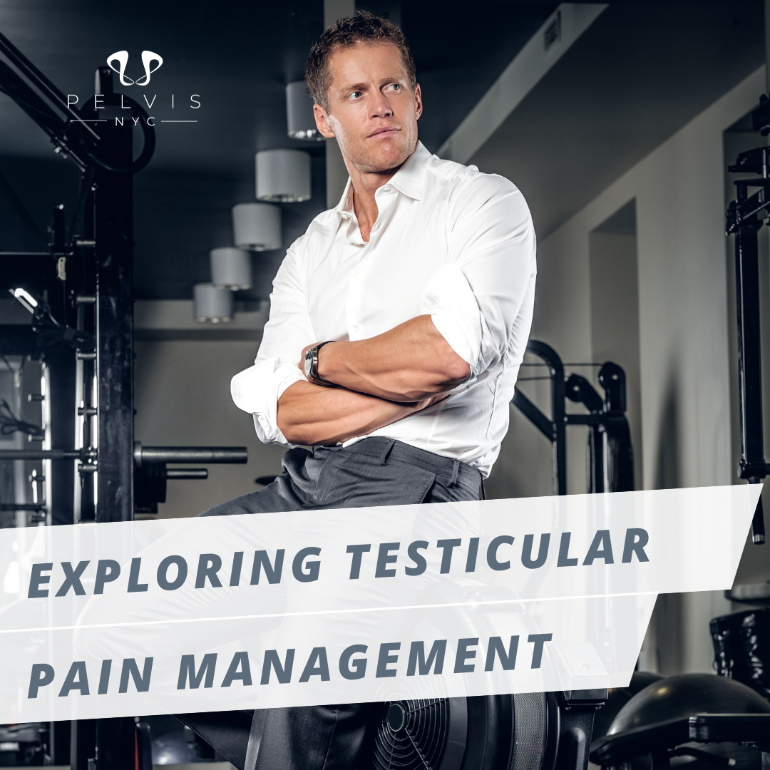 Exploring Testicular Pain Management
