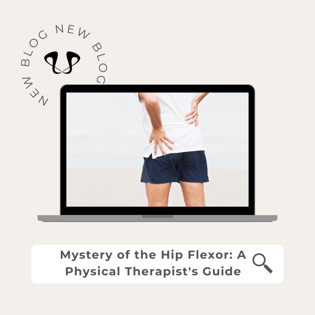 Mystery of the Hip Flexor: A Physical Therapist's Guide
